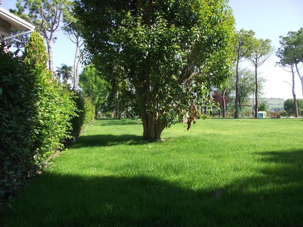 Hotel Ausonia Monte Porzio Екстер'єр фото